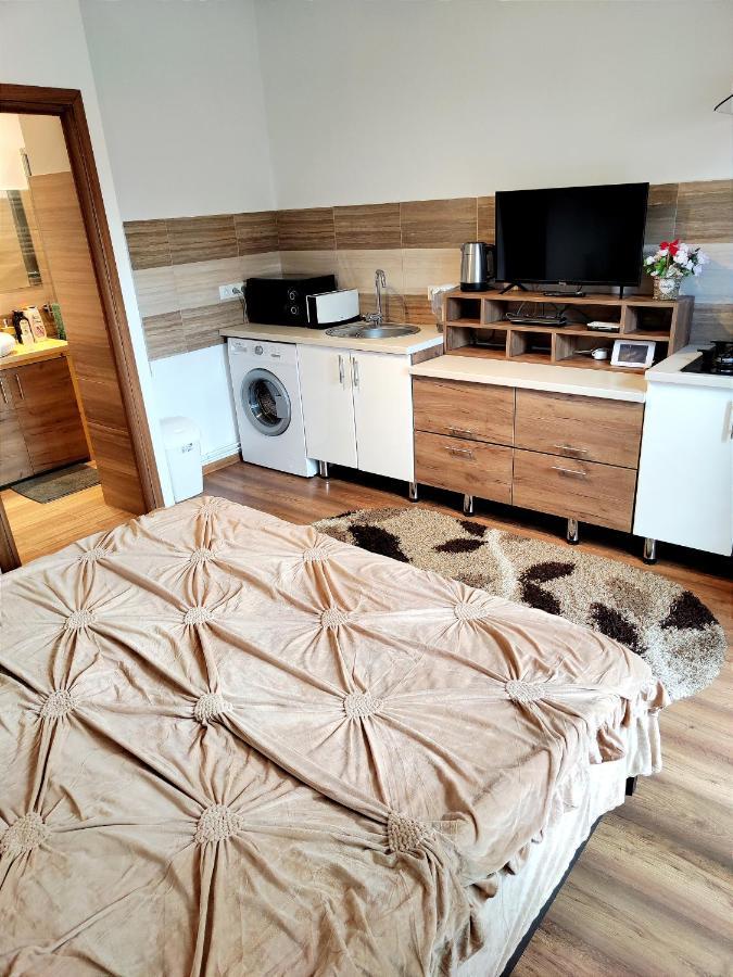 Casa De Vis Apartment Brasov Bagian luar foto