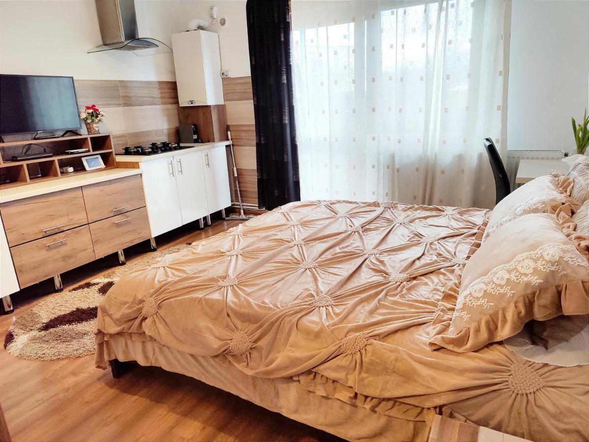 Casa De Vis Apartment Brasov Bagian luar foto